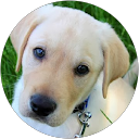 Nicole M. profile picture