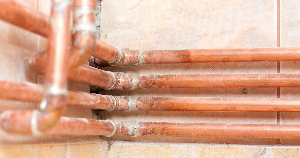 How to Avoid Accidentally Creating a Mold Utopia in Your Home