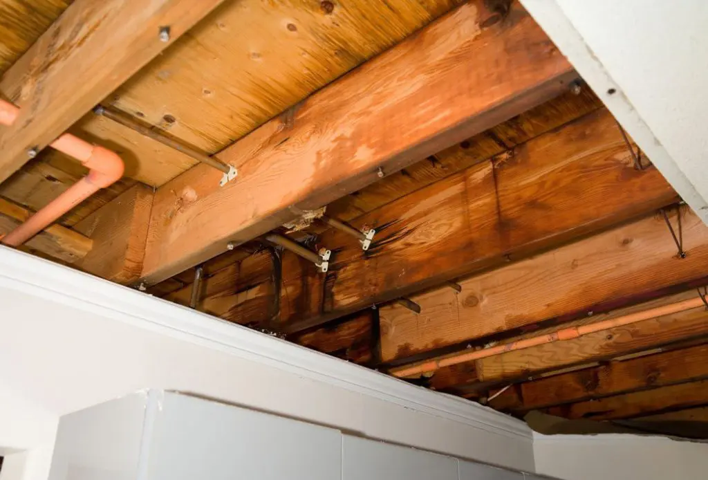Home Buying Steps To Take If You Suspect Water Damage Vines